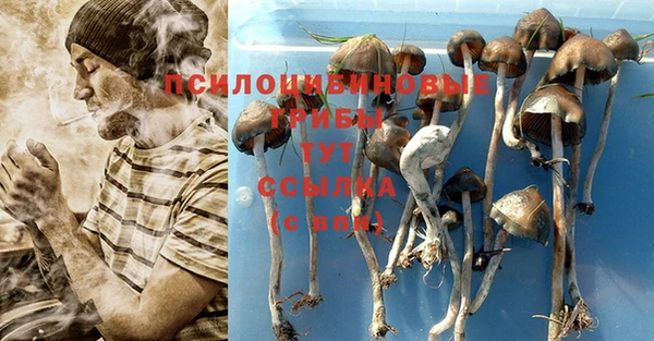 крисы Нягань