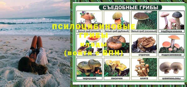 индика Осташков