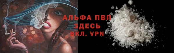 индика Осташков