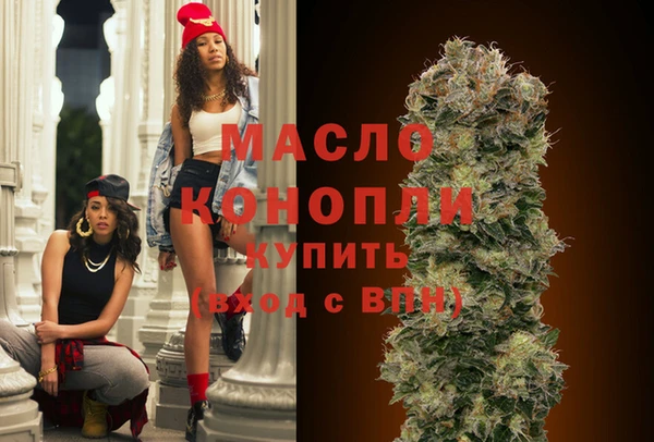 индика Осташков