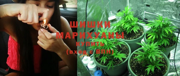 индика Осташков