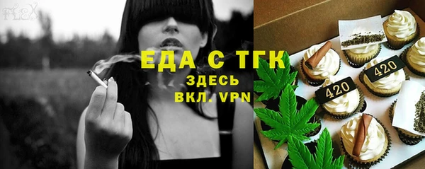 индика Осташков