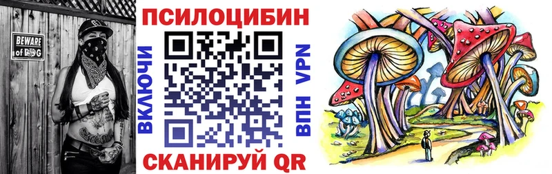 где купить наркоту  Киреевск  Галлюциногенные грибы Psilocybine cubensis 