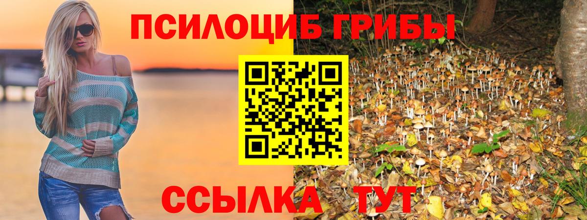 Киреевск  Галлюциногенные грибы MAGIC MUSHROOMS  что такое   Вход с VPN 